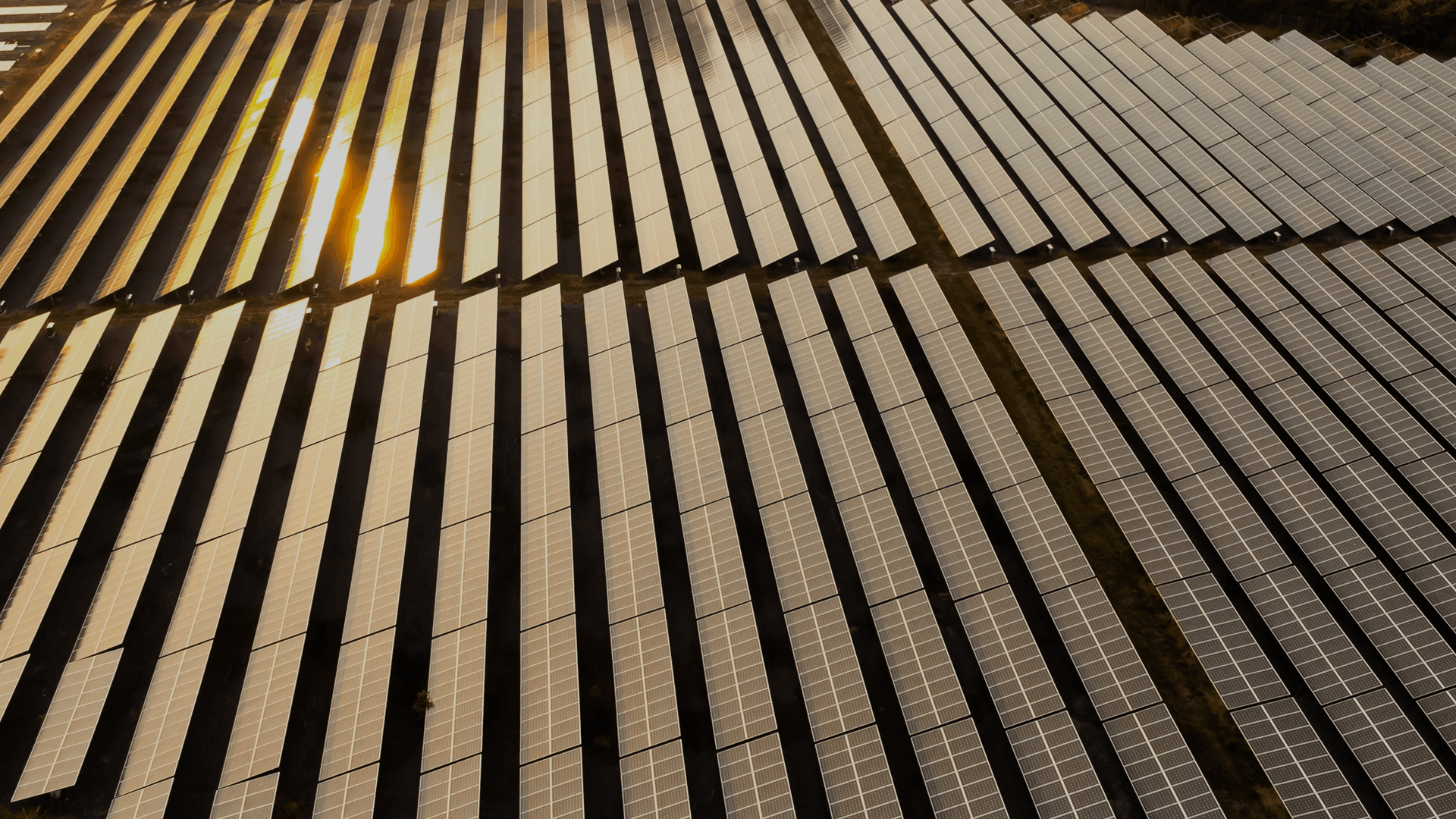 Intelligent Energy Solutions for Industry